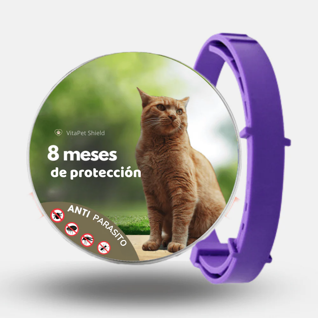 VitaPet Shield™ - El collar inteligente que protege a quien más amas
