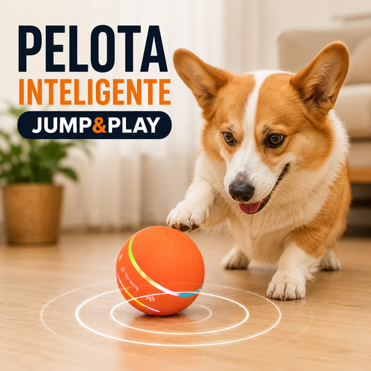 JUMP & PLAY™