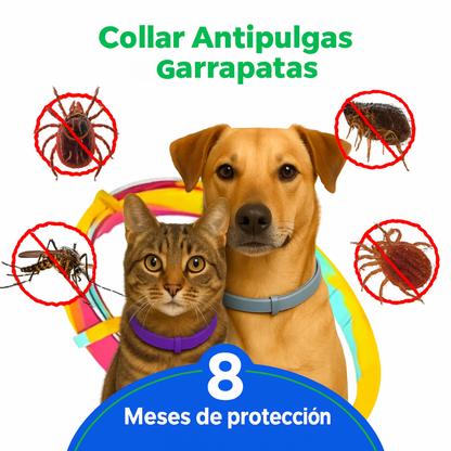 VitaPet Shield™ - El collar inteligente que protege a quien más amas