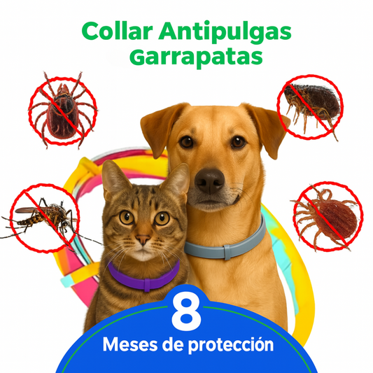 VitaPet Shield™ - El collar inteligente que protege a quien más amas