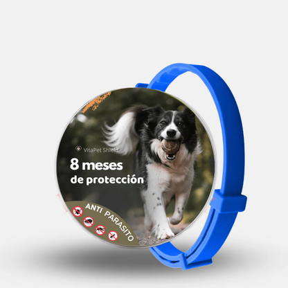 VitaPet Shield™ - El collar inteligente que protege a quien más amas